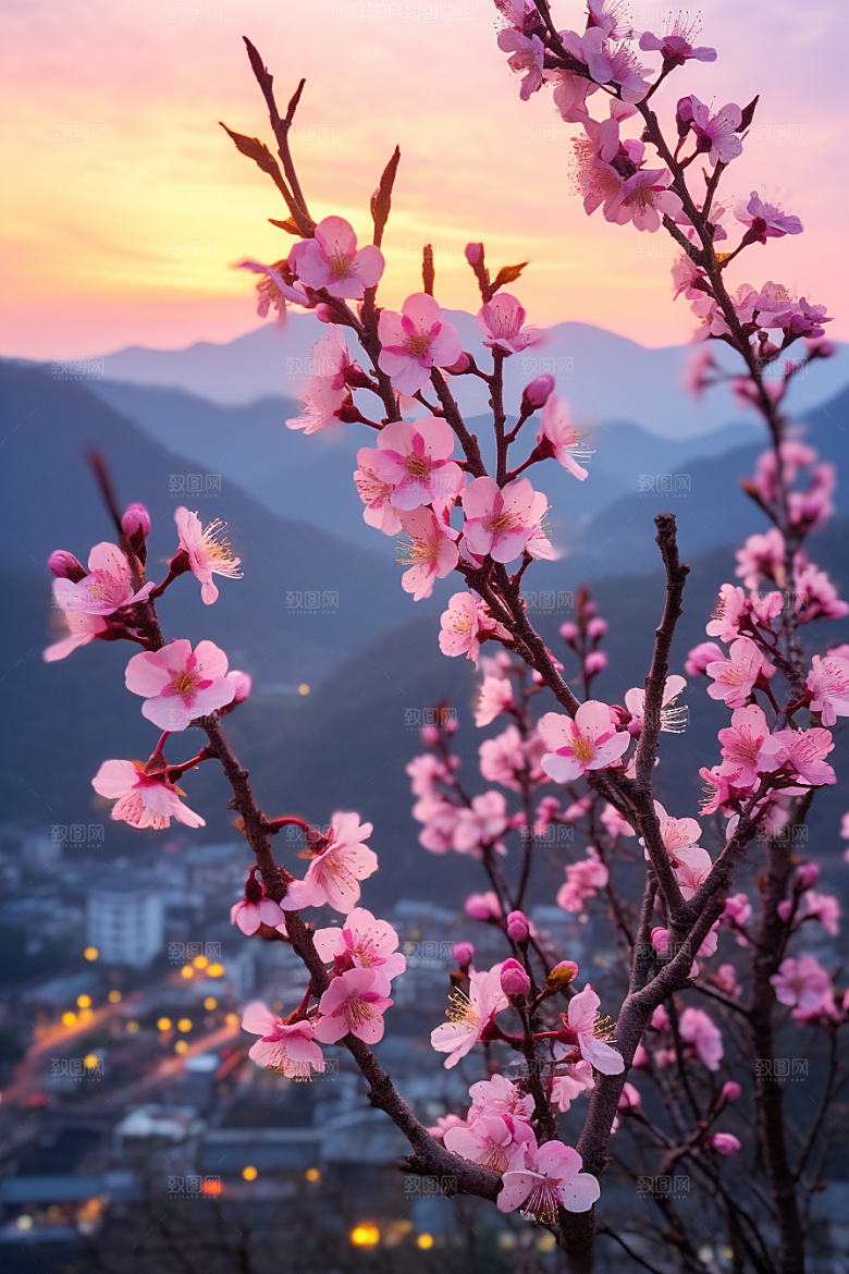 春季桃花山花烂漫春天摄影图