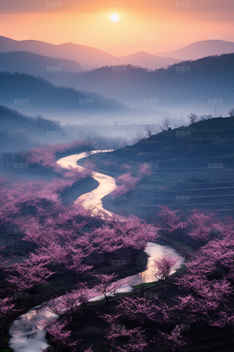 春季桃花花卉山花烂漫摄影图