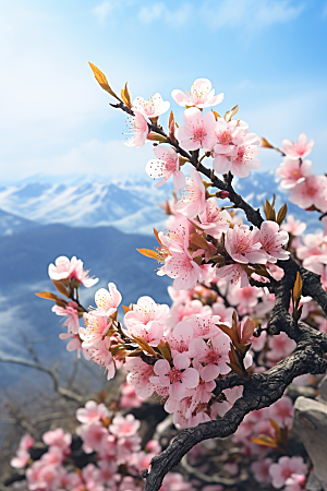 春季桃花花朵高清摄影图