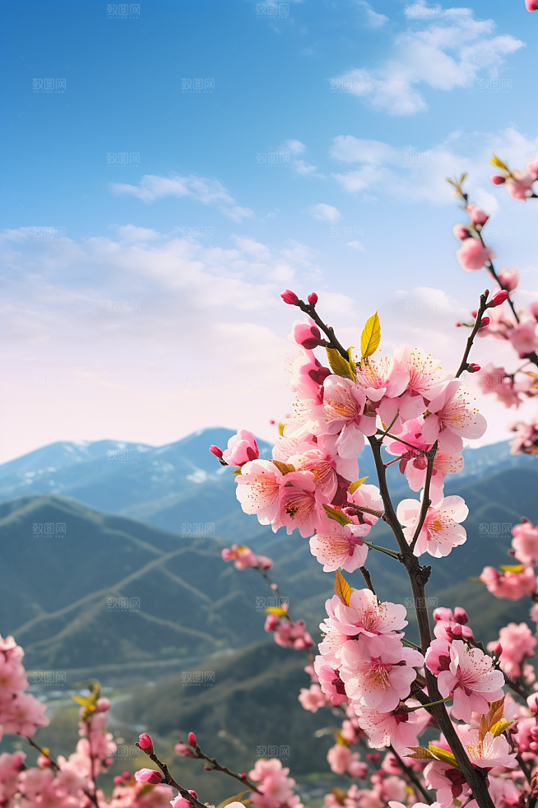 春季桃花春天桃花林摄影图