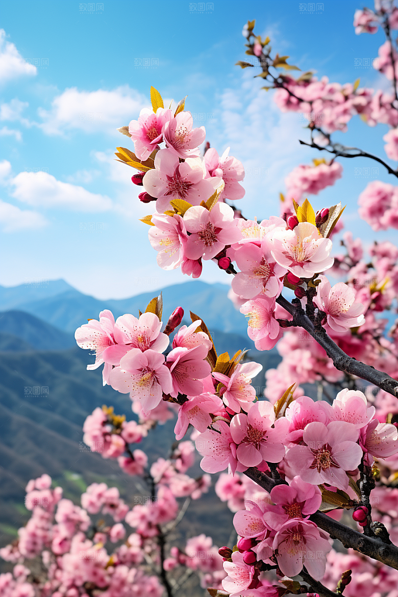 春季桃花山花烂漫美丽摄影图