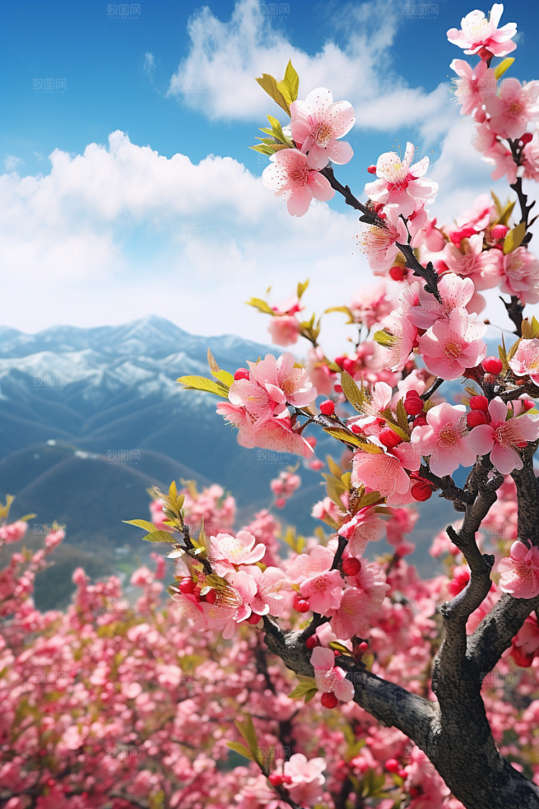 春季桃花桃园花朵摄影图