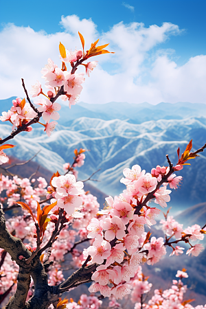 春季桃花花卉春天摄影图