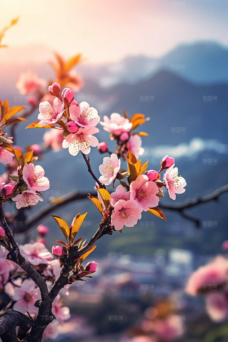 春季桃花风光桃园摄影图