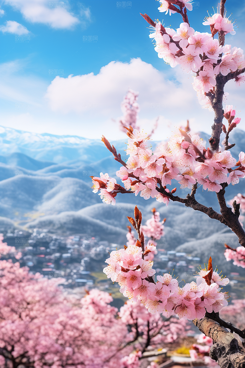 春季桃花桃园桃花林摄影图