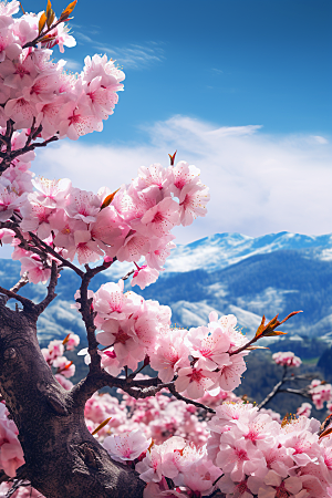 春季桃花高清风景摄影图