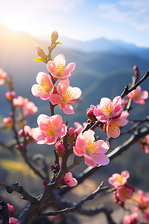 春季桃花花卉山花烂漫摄影图