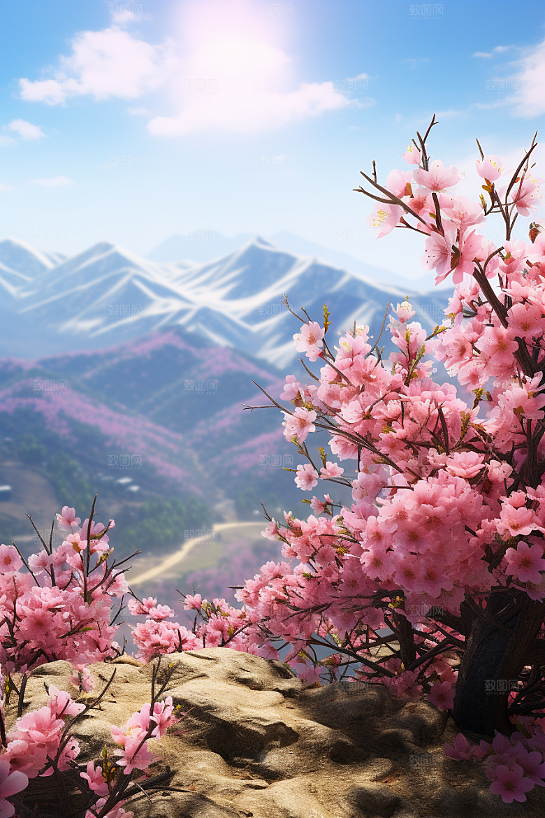 春季桃花春天风景摄影图