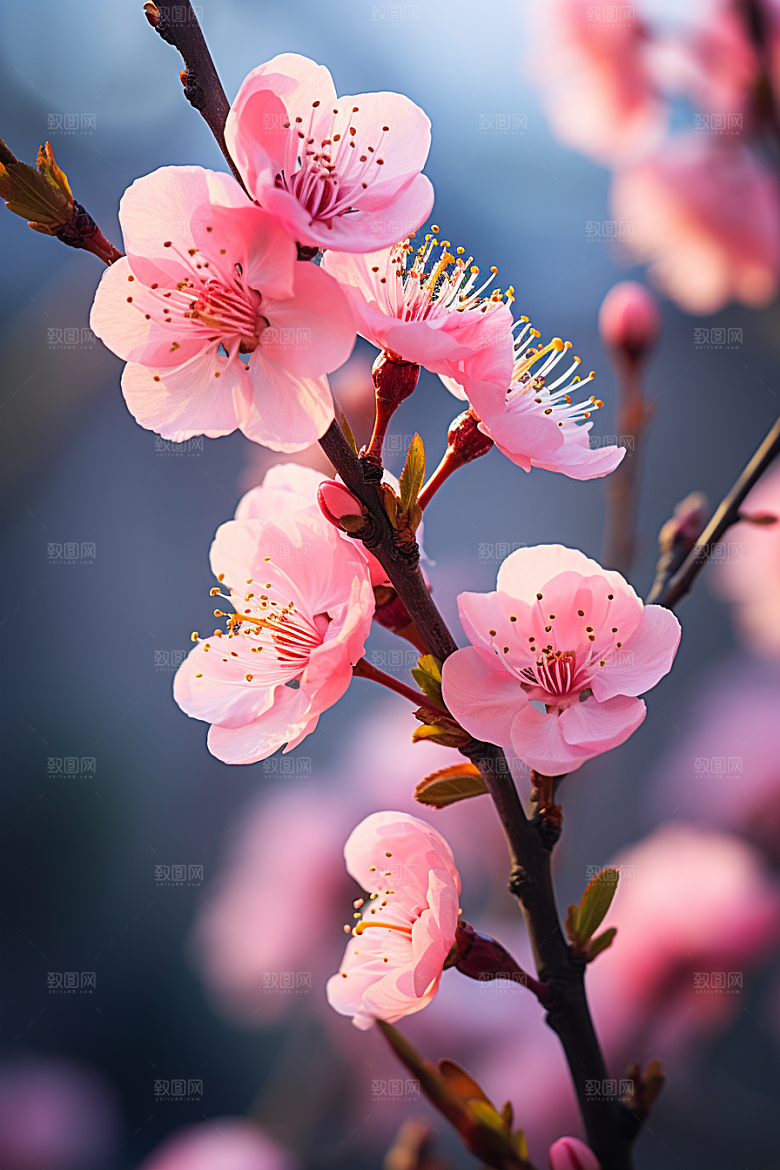 春季桃花山花烂漫桃花林摄影图