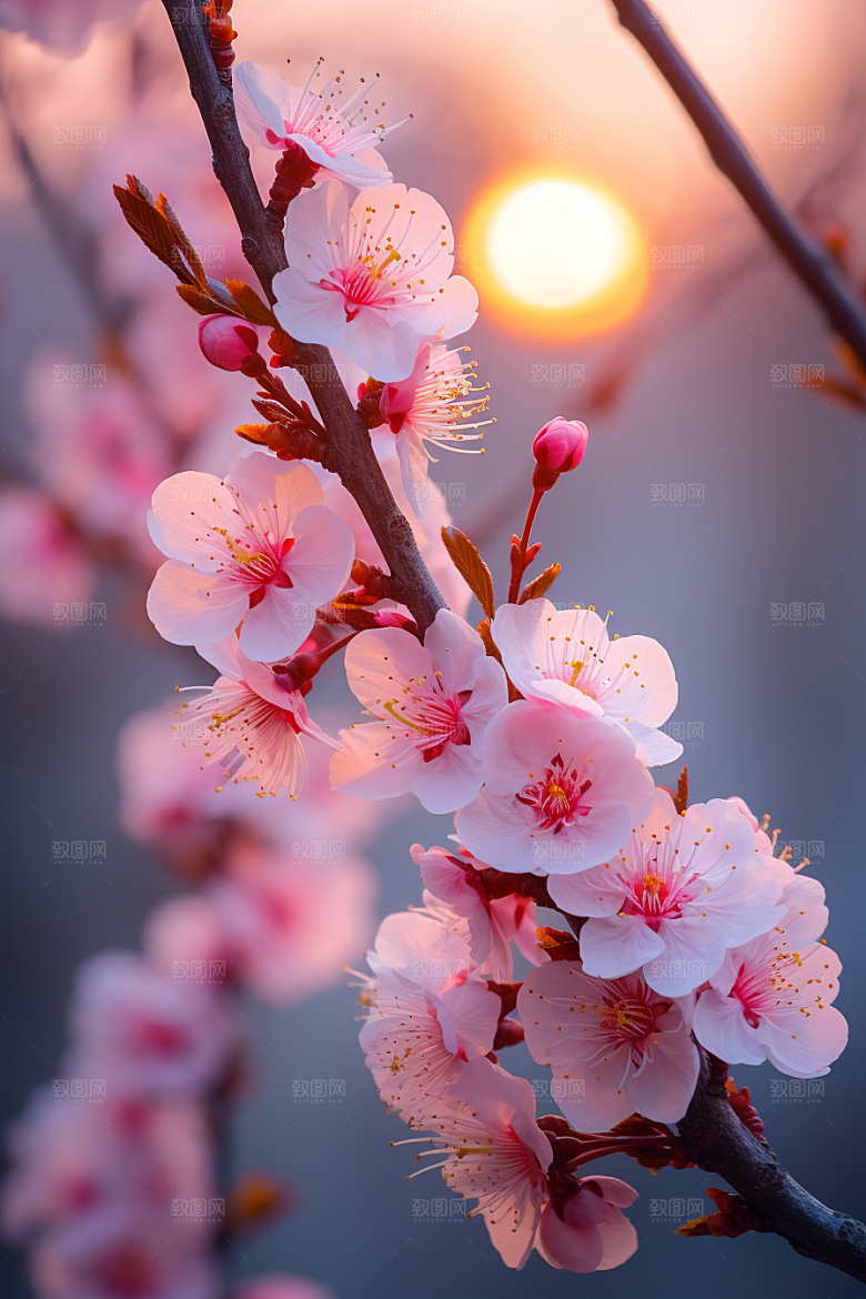 春季桃花桃园山花烂漫摄影图