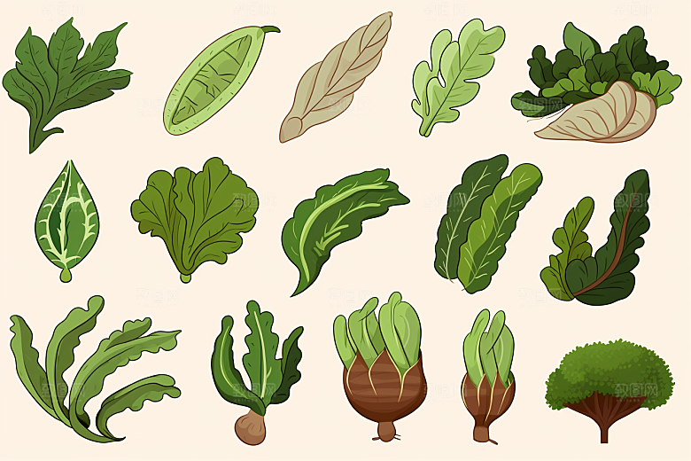 天麻养生药方插画