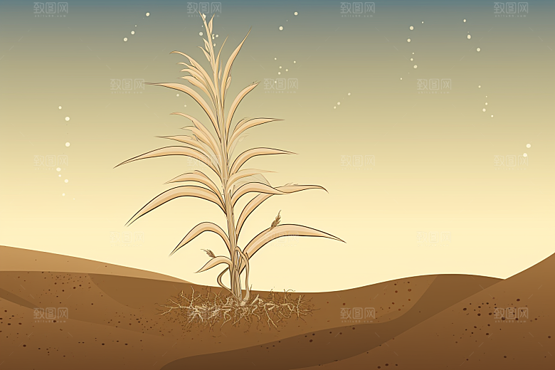 天麻中医医疗插画