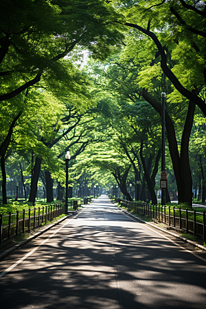 健身步道生活方式城市建设摄影图