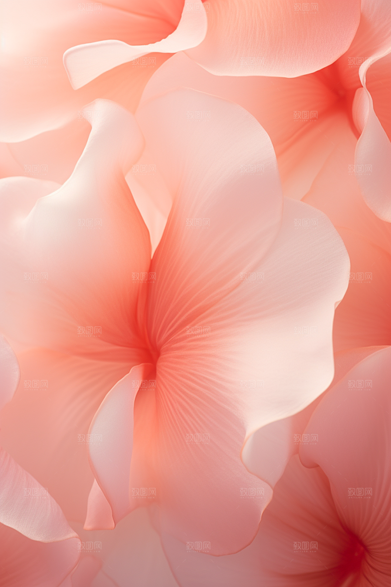 唯美花卉特写绚丽摄影图