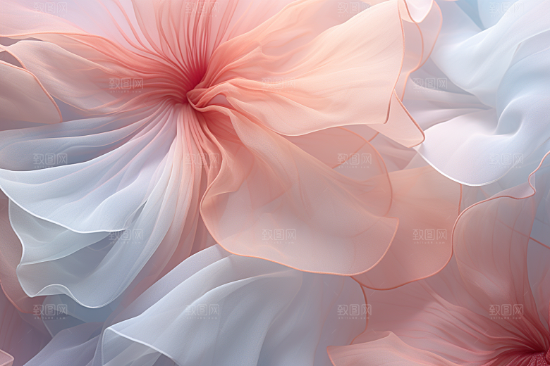 唯美花卉花瓣花朵摄影图