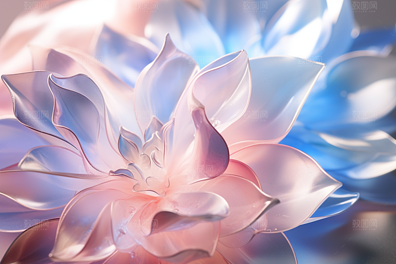 唯美花卉花瓣露水摄影图