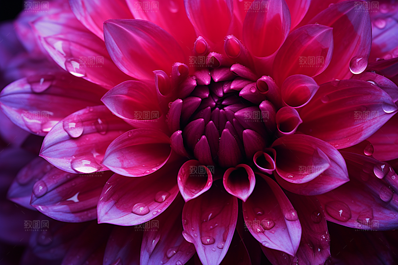 唯美花卉氛围自然摄影图