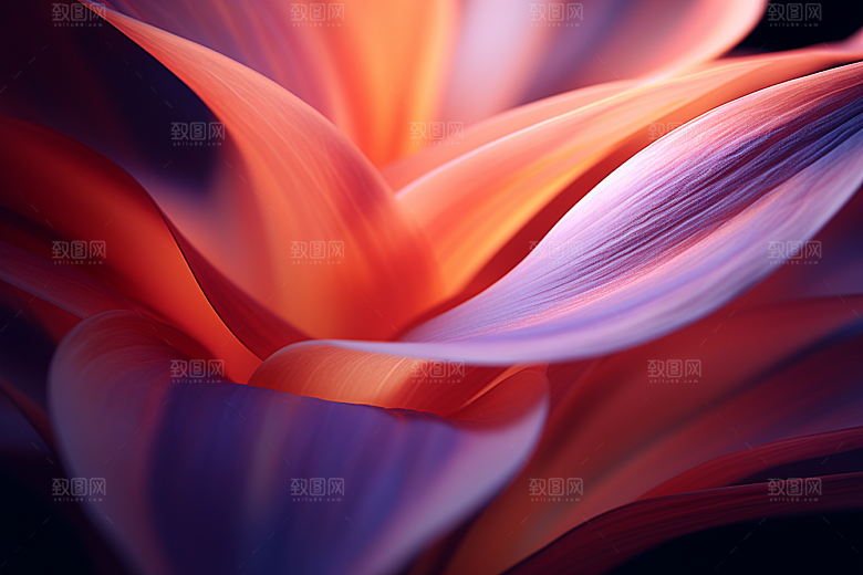 唯美花卉高清特写摄影图