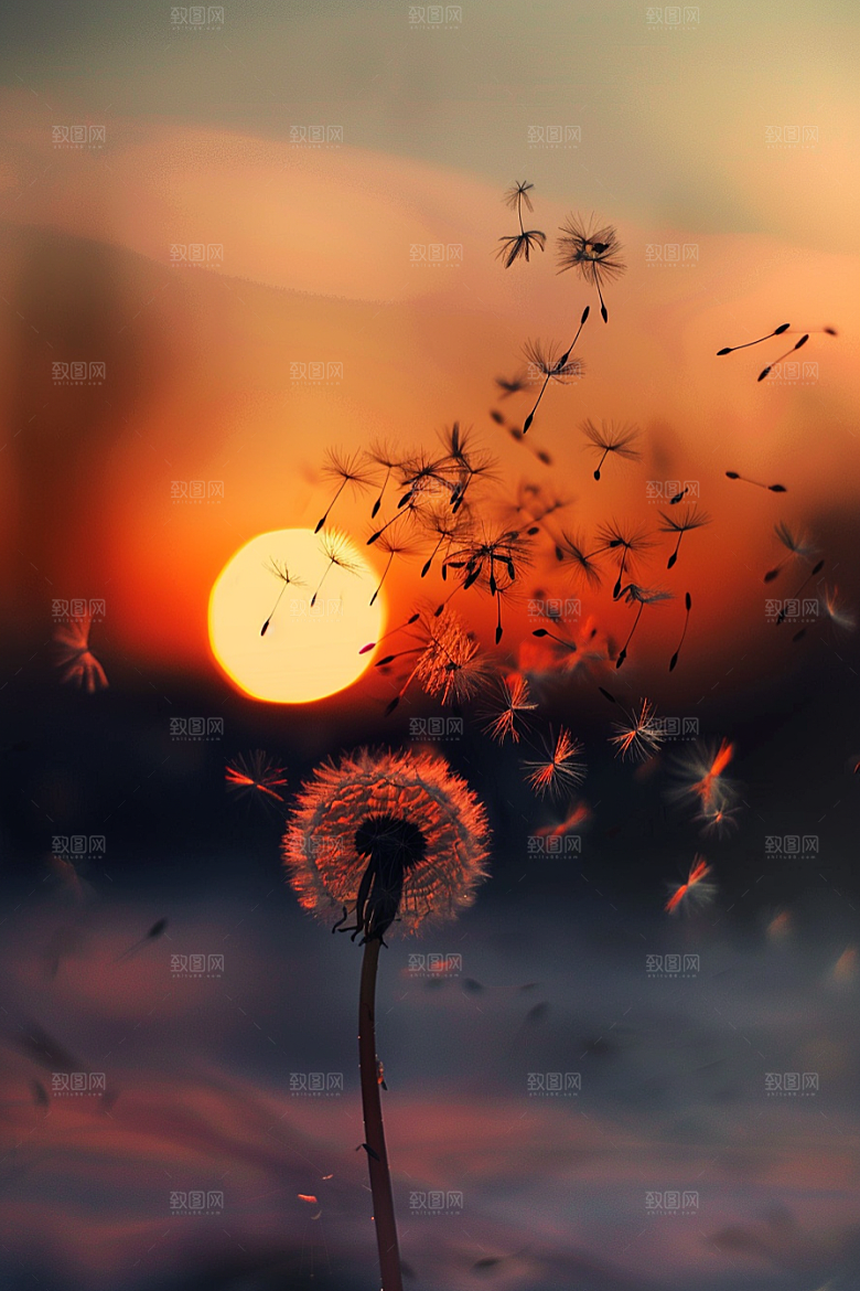 唯美蒲公英许愿高清素材