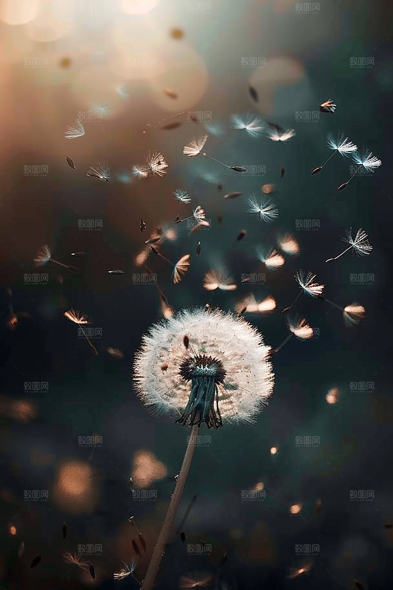 唯美蒲公英许愿种子素材