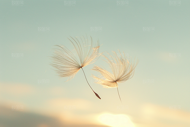 唯美蒲公英清新许愿素材