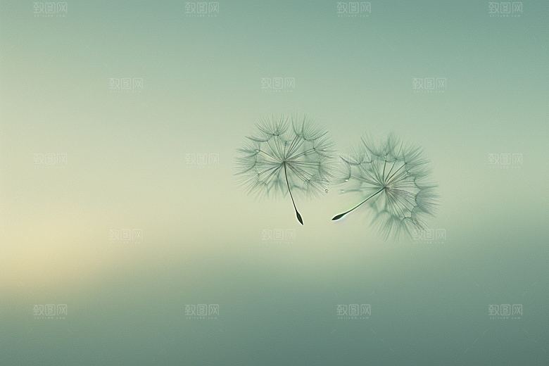唯美蒲公英飞翔象征自由素材