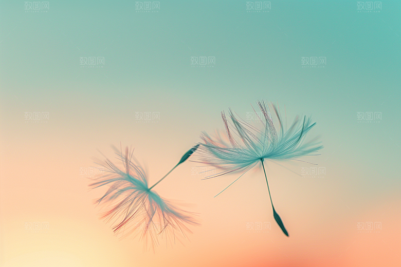 唯美蒲公英许愿飞翔素材