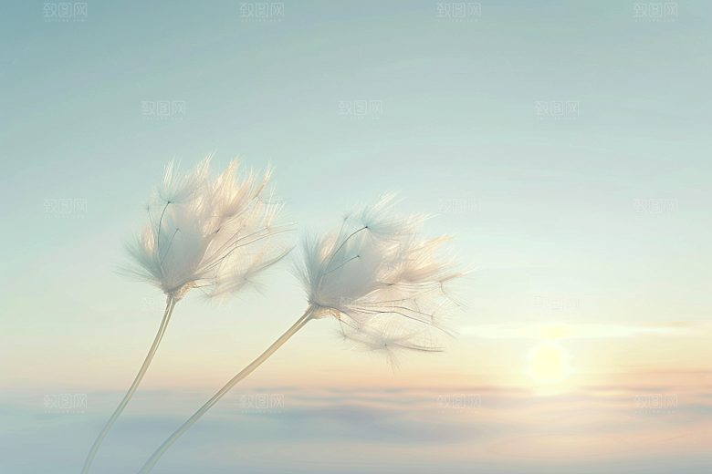 唯美蒲公英飞翔高清素材