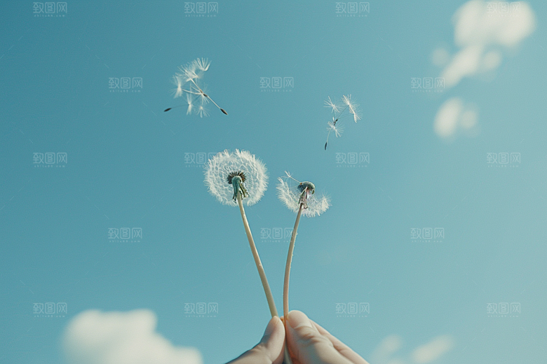 唯美蒲公英清新随风飘散素材