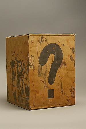 问号盒子盲盒惊喜模型