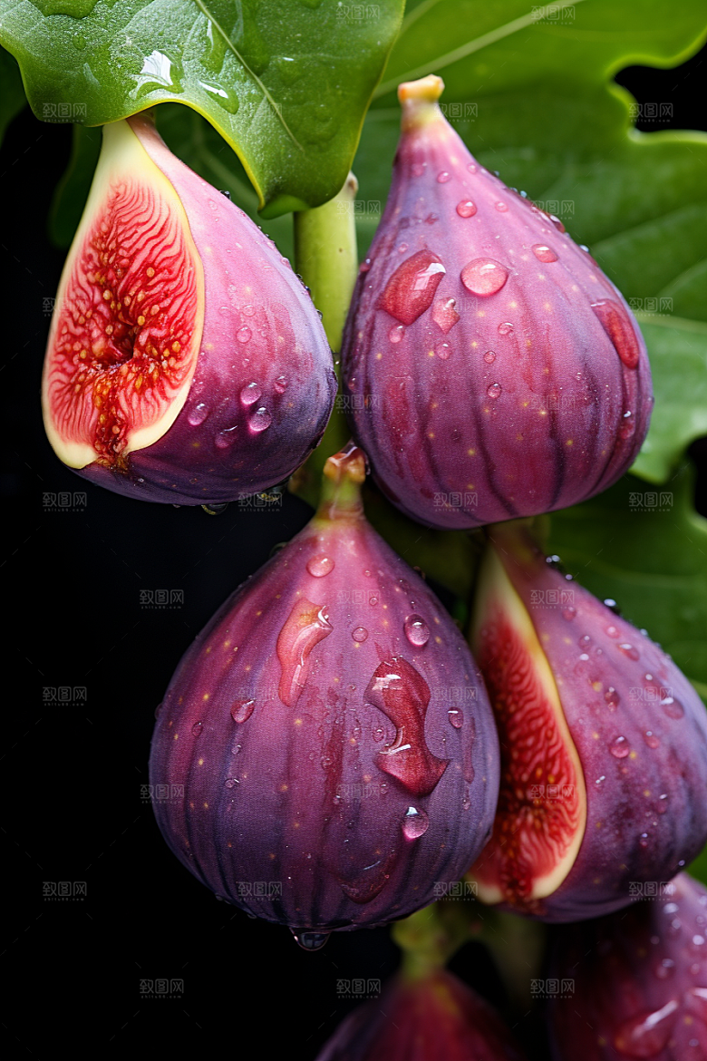 无花果糖包子美食摄影图
