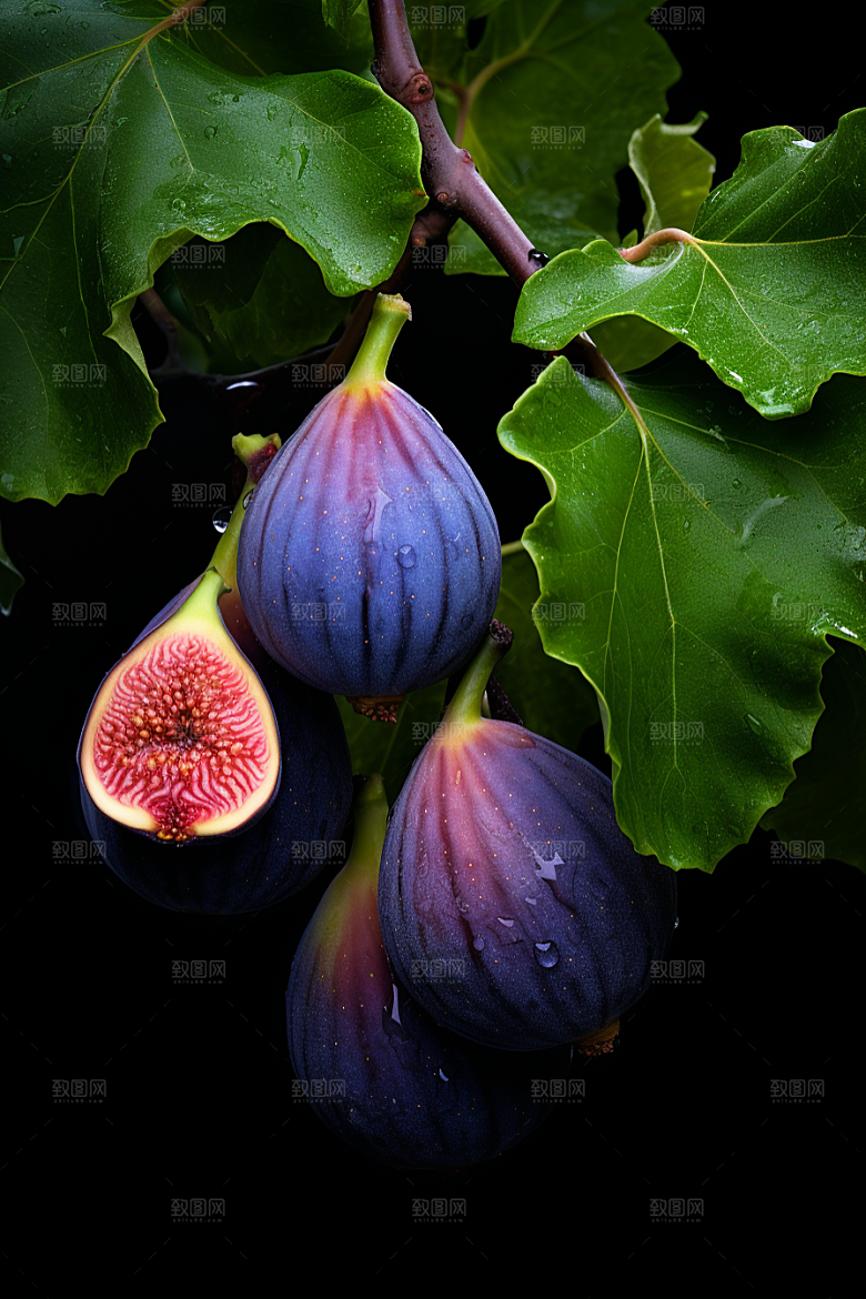 无花果果实美食摄影图