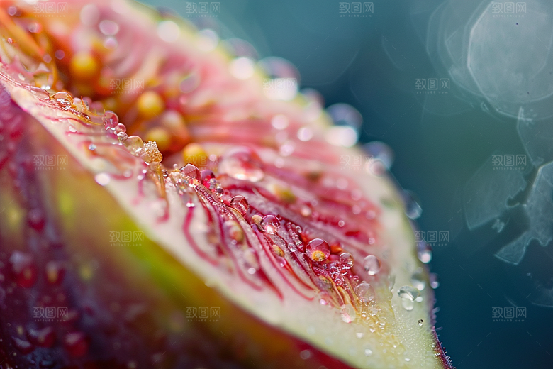 无花果清甜果实摄影图