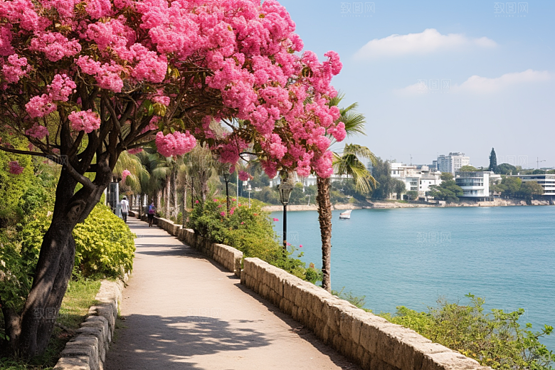 厦门旅游高清海边城市摄影图