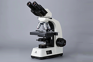 显微镜科研生物素材