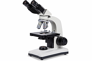 显微镜生物研究素材