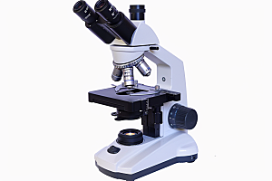 显微镜高清生物素材