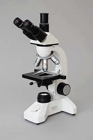 显微镜生物高清素材