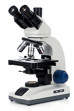显微镜生物高清素材