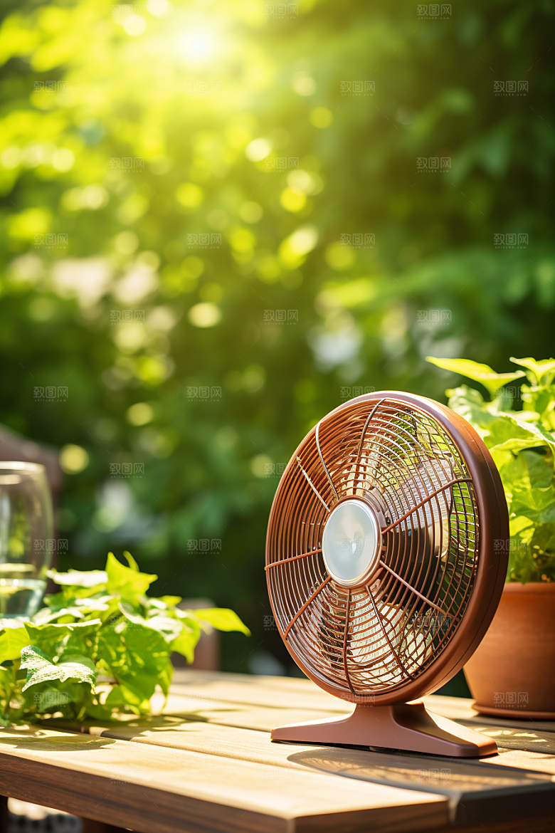 夏至氛围初夏素材