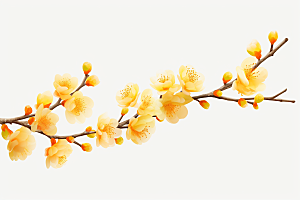 杏花盛开自然花卉摄影图