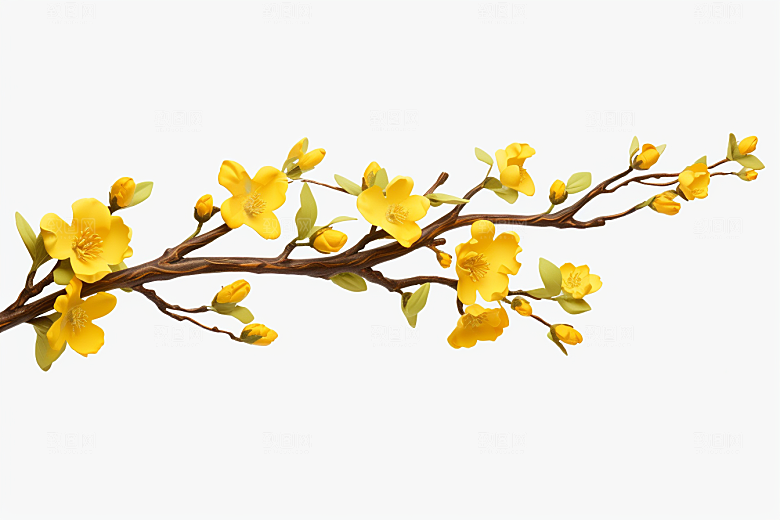 杏花盛开花卉立春摄影图