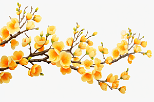 杏花盛开迎春植物摄影图