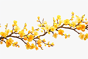 杏花盛开春季自然摄影图