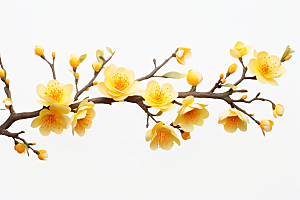 杏花盛开自然春天摄影图