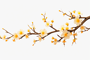 杏花盛开植物春季摄影图