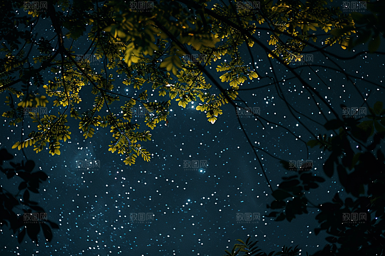 灿烂星空夜景梦幻素材
