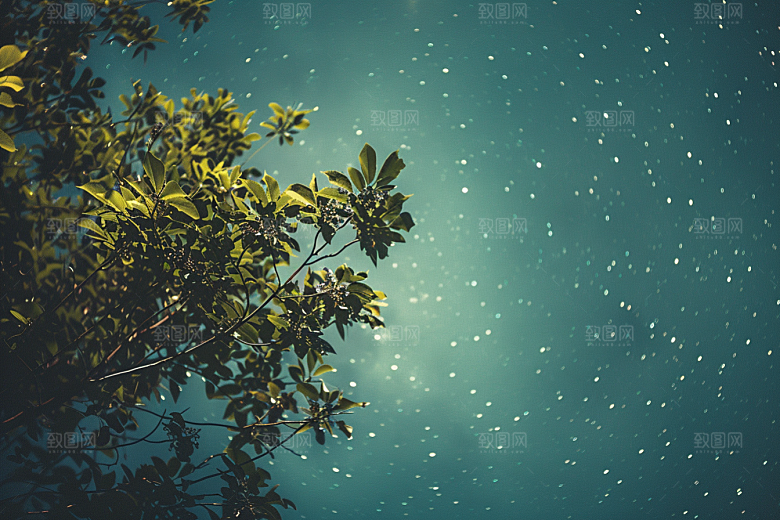 灿烂星空唯美夜晚素材