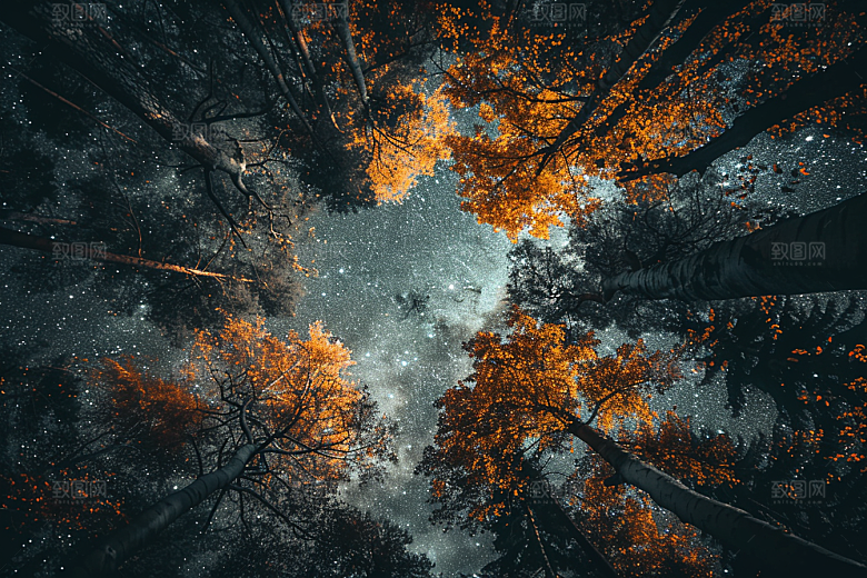 灿烂星空夜景天空素材