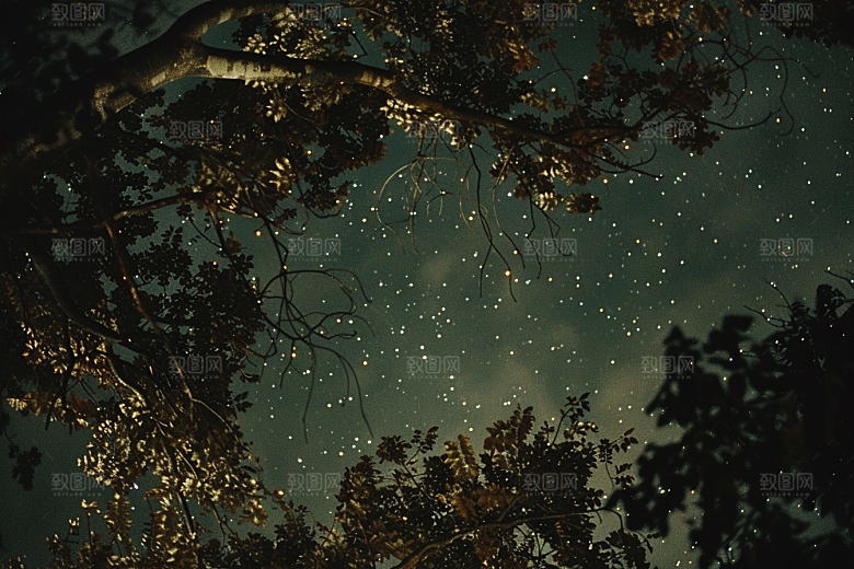 灿烂星空唯美夜晚素材